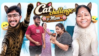 Cat Challenge With Amma Fun Family Moments