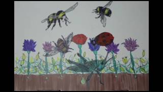 Stop Motion Insects