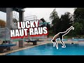 Lustige Challenge mit den Jungs! // Alles in die Katze! (Deathdive)