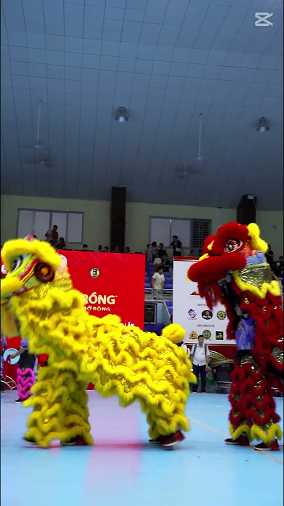 Saluting the stage in the lion and dragon performance #liondance #liondance2025 #chineseliondance