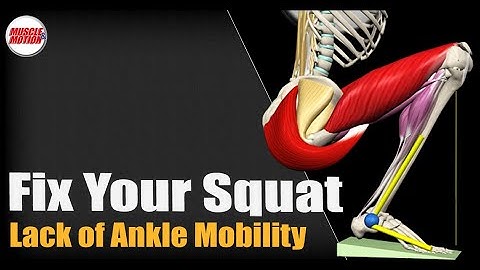 Fix Your Squat: Lack of Ankle Mobility
