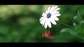 2D Tracking Test Ae