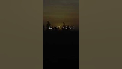 #ماتيسر_من سورة الأنعام بصوت القارئ للشيخ سعد الغامدي