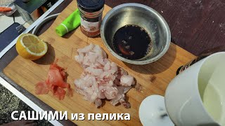 #proкухня Рецепт САШИМИ из пиленгаса, сашими пелик, пеленгас сашими