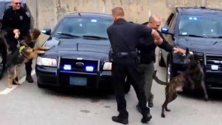 Police K9 Axel's Last Shift Surprise Greeting