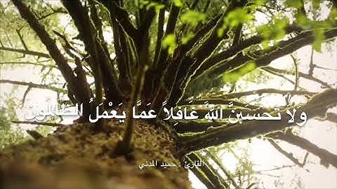 تلاوة خاشعة من أواخر سورة إبراهيم، للقارئ: حميد المدني