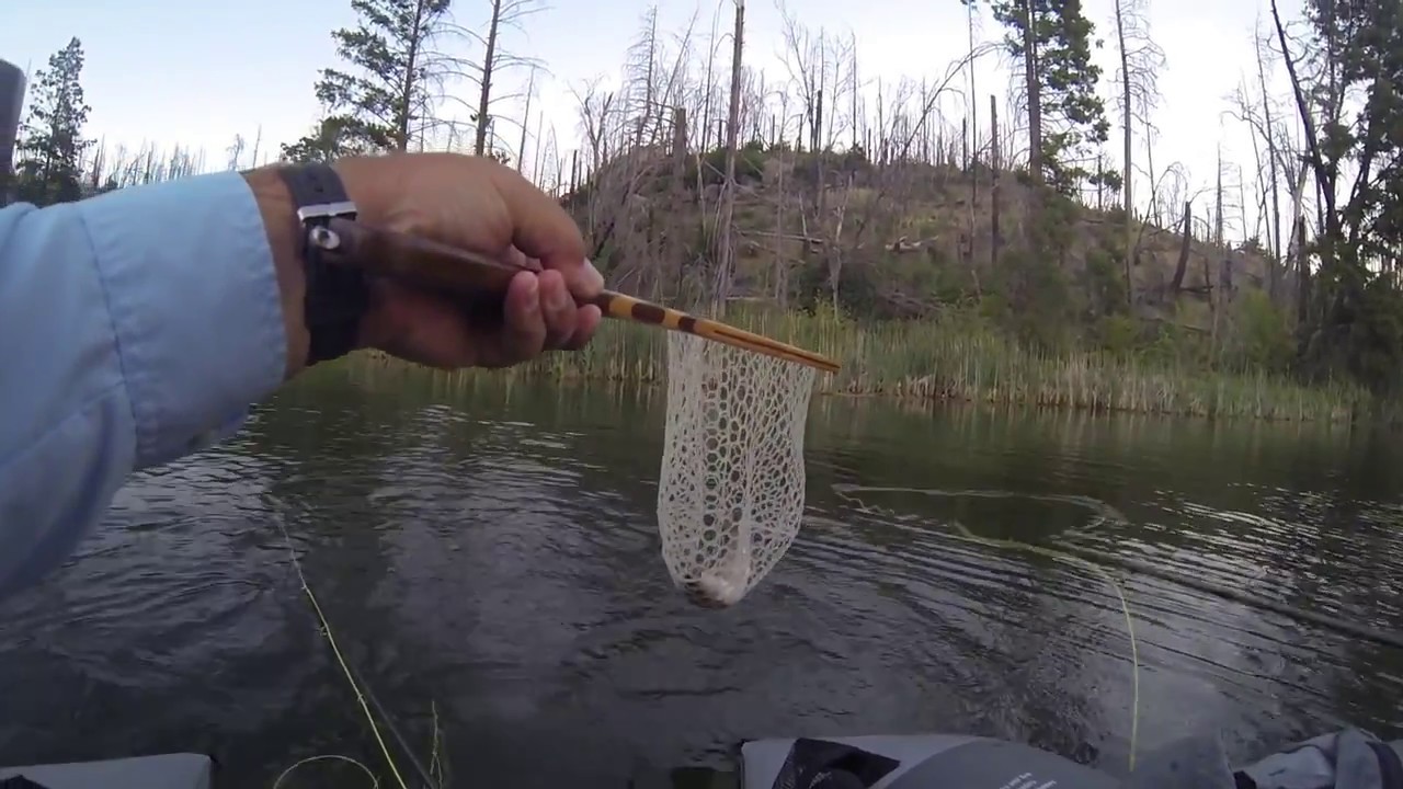 Fly Fishing Rock Creek June 2017 YouTube