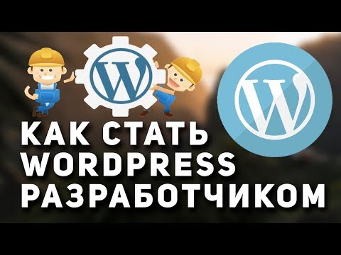 Как стать Wordpress разработчиком с нуля