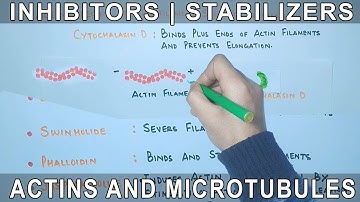 Chemicals that affect the Actin Filaments and Microtubules.