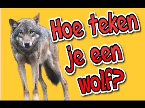 Video: Hoe Om 'n Wolf Stap Vir Stap Met 'n Potlood Te Teken
