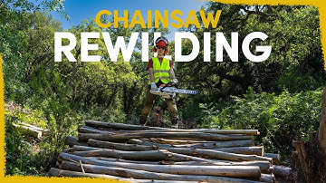 We Cut Down a Forest – Here’s Why