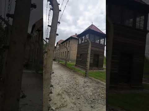 Video: Auschwitz-museet. Auschwitz-Birkenau Museum