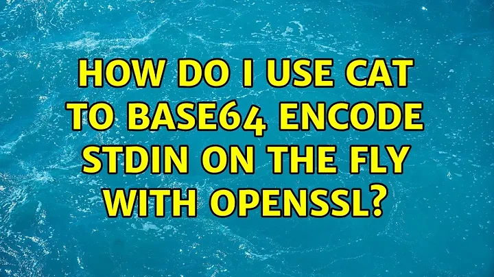 How do I use cat to base64 encode stdin on the fly with openssl? (2 Solutions!!)