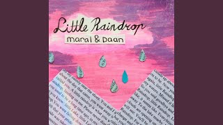 Little Raindrop