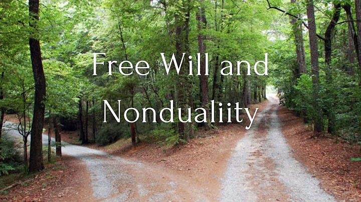 Free Will and Nonduality