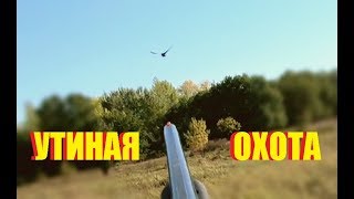 ⁣Открытие охоты. ЭТА СОБАКА УДИВИЛА ВСЕХ!!!  Охота на утку  2018. МР-155 и дратхаар