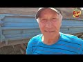 Настоящие Герои России: скромные работники сельского хозяйства | Жизнь после поджога | Дело пошло