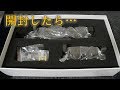 『裏話』天賞堂 C62形3号機 JR北海道タイプ開封してみたが...