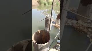 CFA PILE CASTING WITH STEEL CASE IN WATER CANAL صب خوازيق cfa  فى قناة مائية