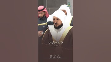 رب اغفر لي ولوالدي - سورة نوح - فضيلة الشيخ ماهر المعيقلي