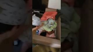 Como Acordar O Irmao Mais Novo