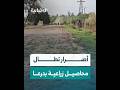 منخفض جوي يتسبب بخسائر في القطاع الزراعي بريف درعا