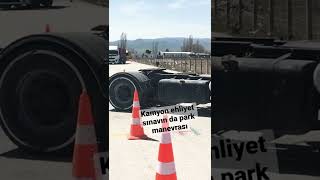 In Da Duba Arası Park Manevrası