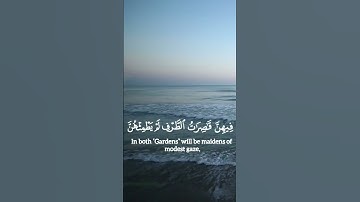 #آيات يخشع لها #القلب من #سورة #الرحمن #تلاوة_خاشعة #قرآن #قران_كريم #برج_بوعريريج #سورة_الرحمن