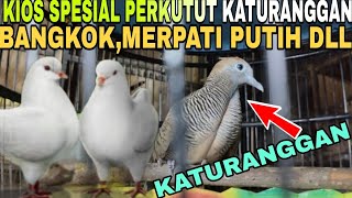 KIOS SPESIAL BURUNG PERKUTUT KATURANGGAN MERPATI, DLL KIOS MARZUKI DI PASAR BURUNG PRAMUKA HARI INI