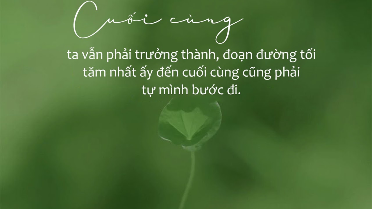 SixTONESのオールナイトニッポンサタデースペシャル.  2026年01月31日