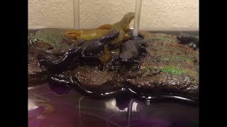 Newts vs Skink / Chapter 7