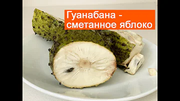 Гуанабана, Гравиола - сметанное яблоко - фрукты Таиланда