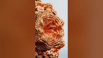 Mandelbulb Fractal Animation #b3d #animation #blender #blender3d #art #eevee