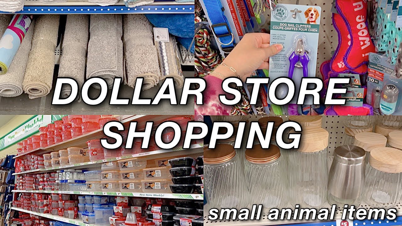 things you can buy at the dollar tree for your small animals 