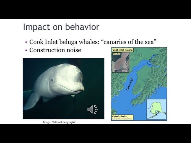 Can You Hear Me Now? Coping with an Increasingly Noisy Ocean