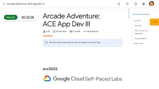 Arcade Adventure ACE App Dev III arc3002 screenshot 5