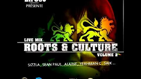 Roots & Culture Volume 2 - Dj Lil'Seb