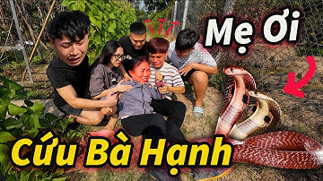 Hậu Cáo Và My Cứu Mạng Bà Hạnh Gặp Nạn Trong Vườn Táo || Mẹ Văn Thiêm