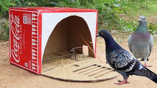 Unique Quick Pigeon Trap Using Box Coca-Cola - Simple DIY Bird Trap