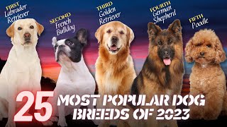The 25 Most Popular Dog Breeds of 2023
