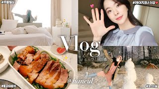 집들이 홈파티하는 주말vlog