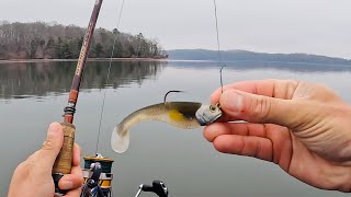 This Bait is DEADLY for Catfish!!! (Catfishing with Livescope)