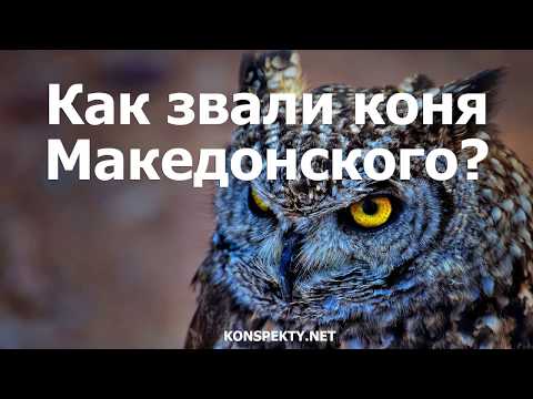 Как звали коня Македонского?