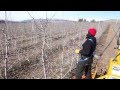 Orchard Update March 3, 2014 Orchard Update March 3, 2014