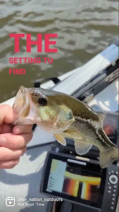 Livescope Big Fish Cheat Code garmin bassfishing cheatcodes funny livescope-big-fish-cheat-code-garmin-bassfishing-cheatcodes-funny