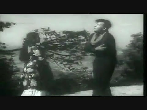 Pyar bhari ye ghatayen rag milan ke sunaye Qaidi No911 Mehmood Nanda MannaDey Lata Hasrat  Dattaram