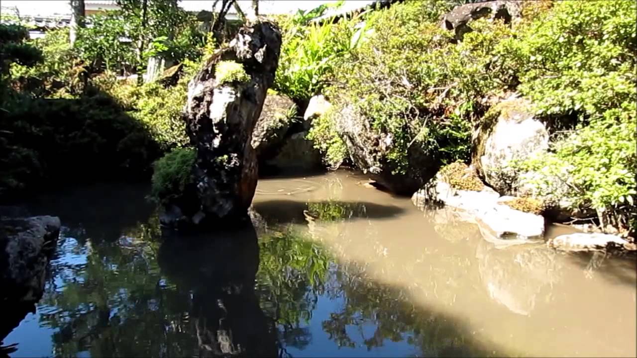 古池 や 蛙 飛び込む 水 の 音 解釈