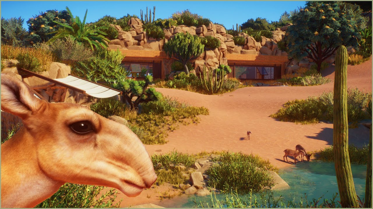 🌵 Simple saiga habitat in the desert | Majah Zoo | Planet Zoo | speedbuild 🌵