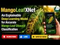 Stop Misdiagnosing Mango Diseases! 🍃 MangoLeafXNet Explainable AI Classification Model | CSE