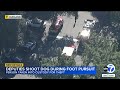 Deputies shoot dog during foot pursuit of theft suspect in Los Angeles neighborhood